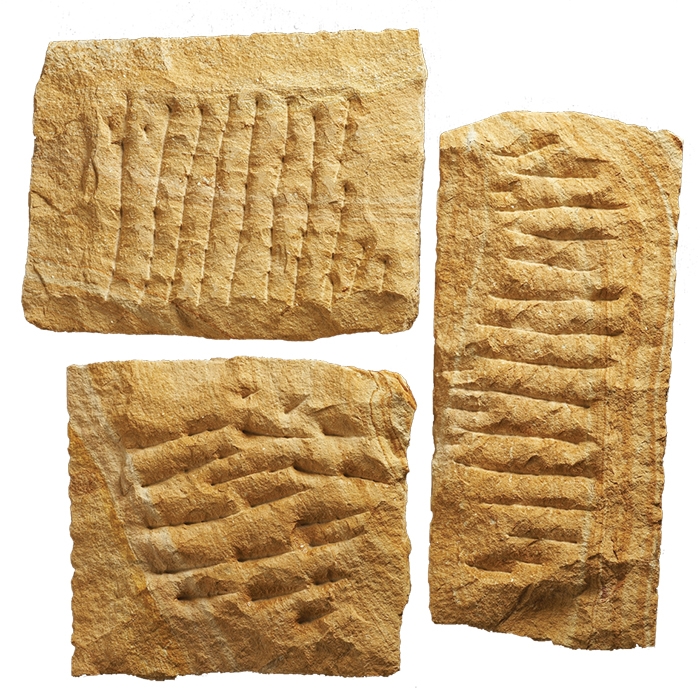 Πλακίδιο Φυσικό Πέτρωμα Βυζαντινό Γαία